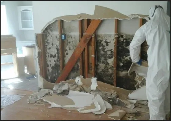 The Mold Assassins Picture 5