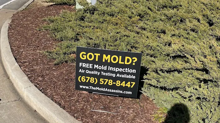 The Mold Assassins Picture 4