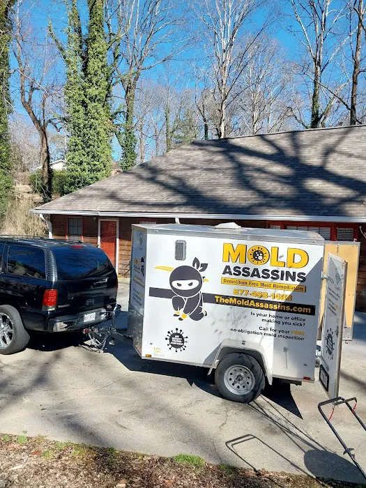 The Mold Assassins Picture 6