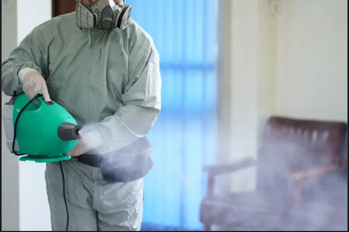 The Mold Assassins Picture 7