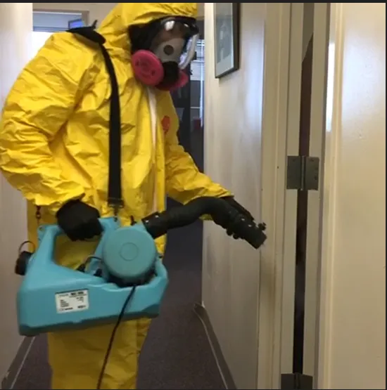 The Mold Assassins Picture 9