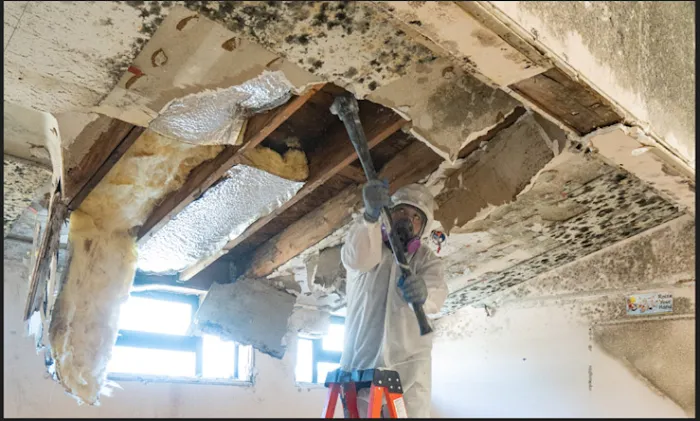 The Mold Assassins Picture 10