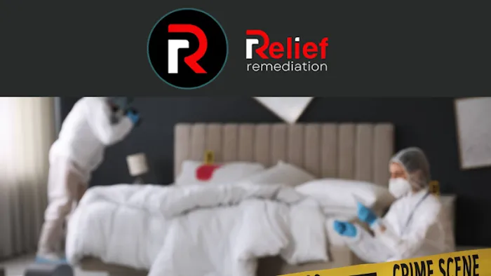 Relief Remediation Picture 3