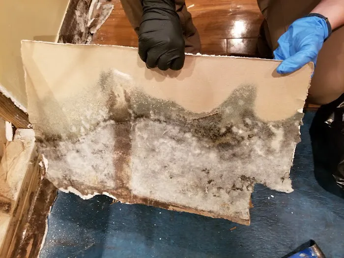 Relief Remediation Picture 8