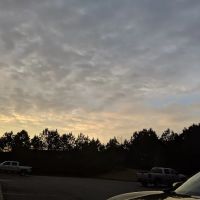 All South Restoration, Inc ico