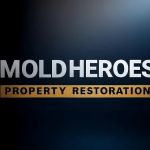 Mold Heroes