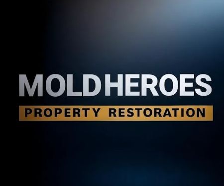 Mold Heroes