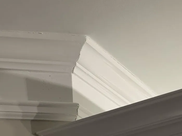 Southern Signature Group Picture 6