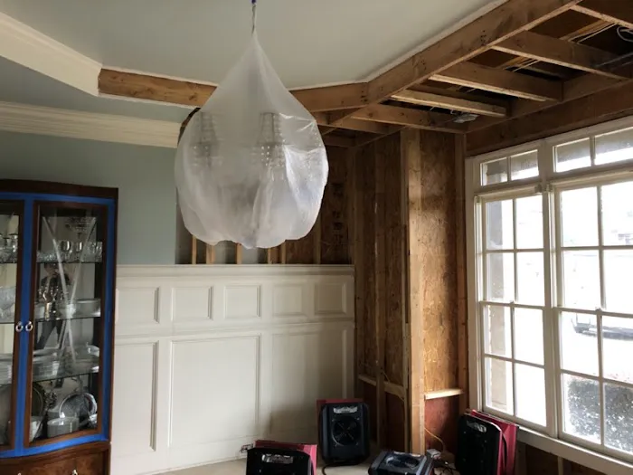 Provision Property Restoration Picture 10