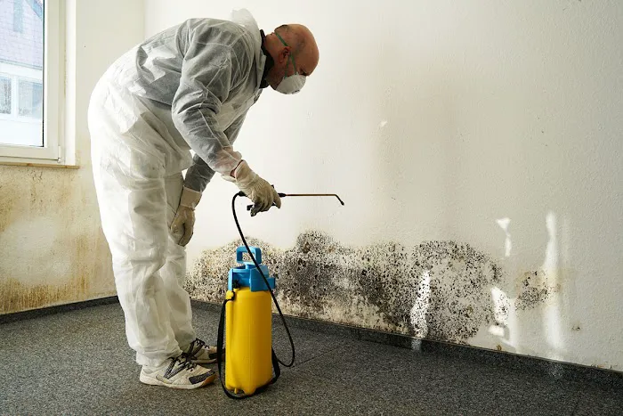 Water & Mold Solutions Picture 2