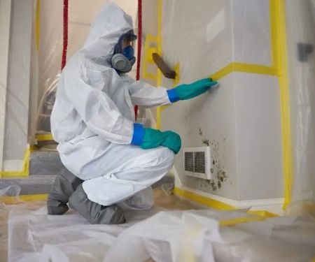 Water & Mold Solutions