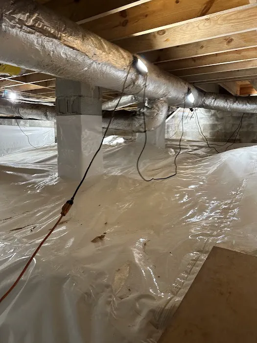 Water & Mold Solutions Picture 5