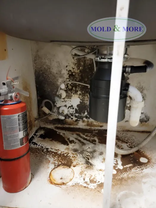 Mold & More, Property Restoration Group Picture 3