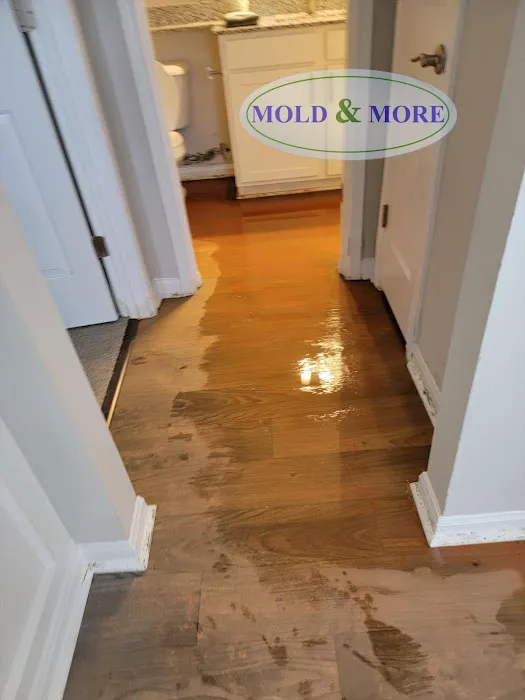 Mold & More, Property Restoration Group Picture 1