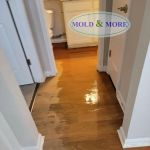 Mold & More, Property Restoration Group