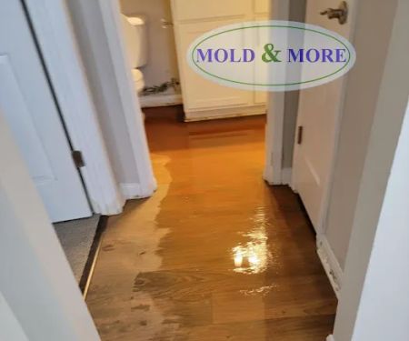 Mold & More, Property Restoration Group