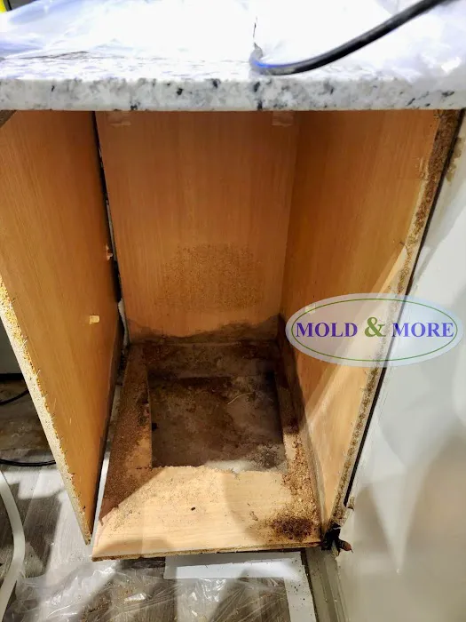 Mold & More, Property Restoration Group Picture 4