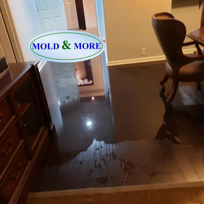 Mold & More, Property Restoration Group Picture 5