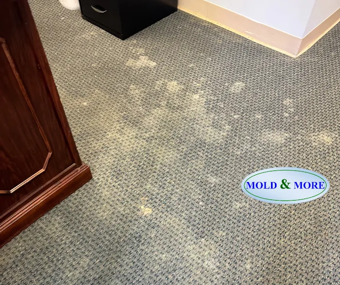 Mold & More, Property Restoration Group Picture 6