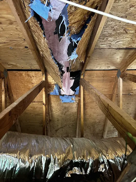 Patriot Property Restoration Picture 4