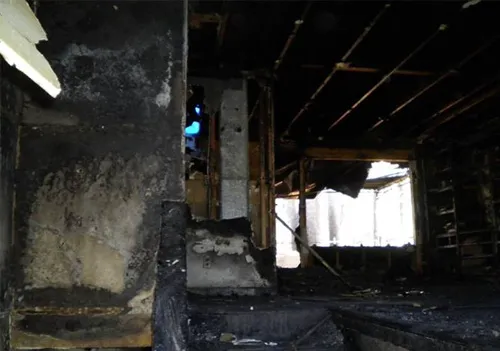 Level Creek Property Restoration Picture 7