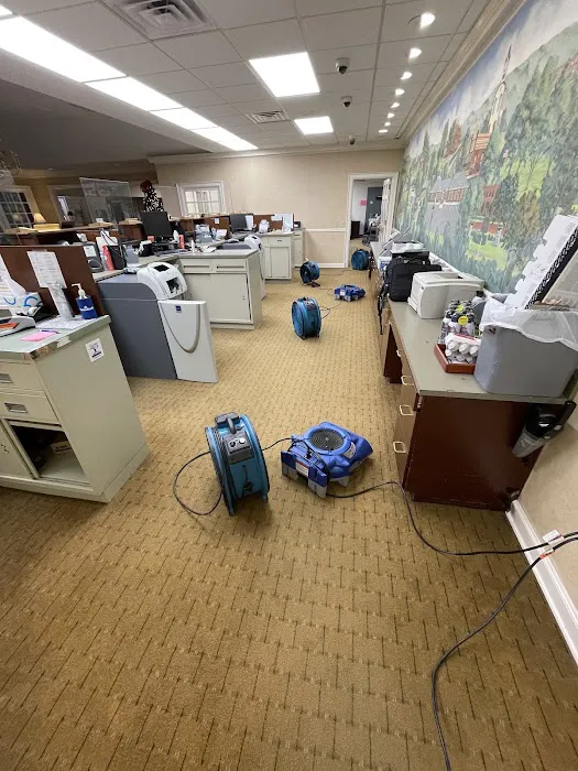 Doyle’s Flooring and Restoration Services, LLC Picture 4