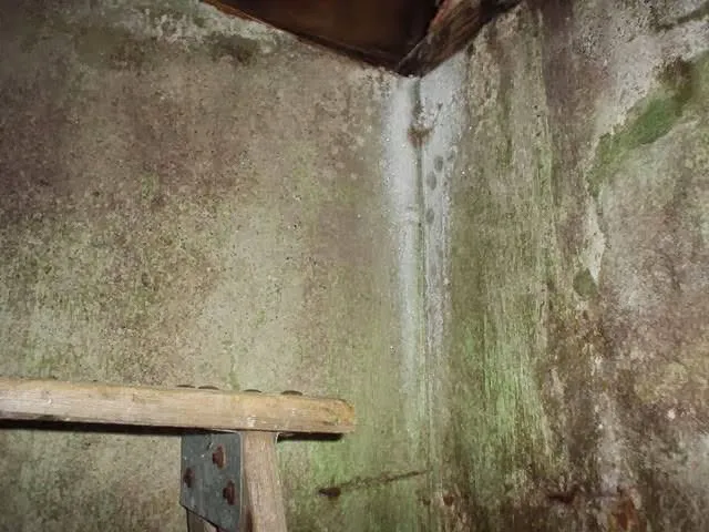 Everdry Basement Waterproofing North Georgia Picture 9