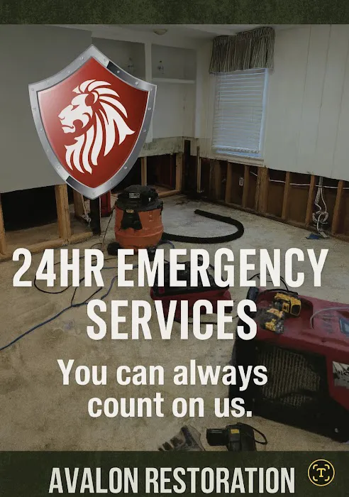 Avalon Restoration Picture 4