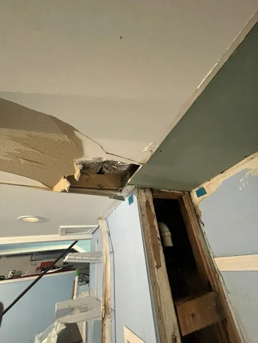 Peach Pro Water Restoration Picture 2