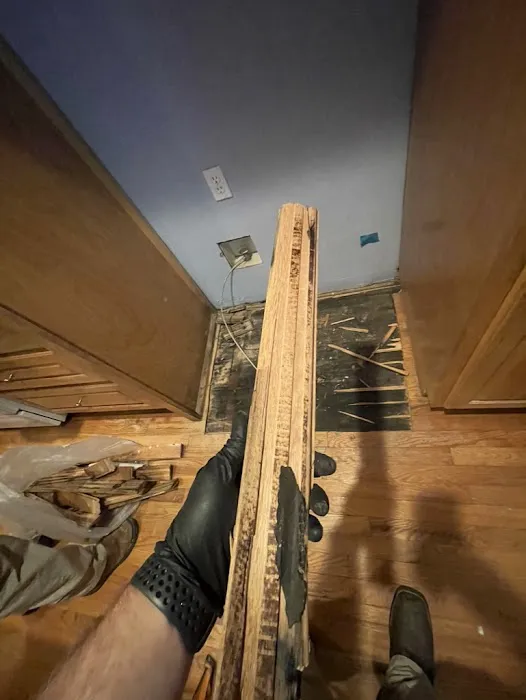 Peach Pro Water Restoration Picture 5