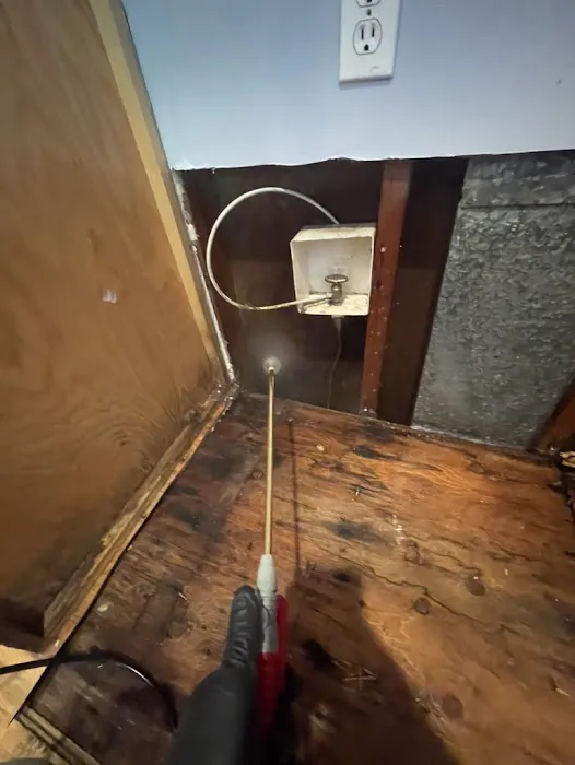 Peach Pro Water Restoration Picture 4