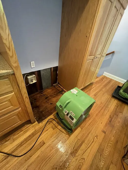 Peach Pro Water Restoration Picture 3