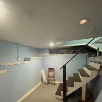 Peach Pro Water Restoration ico