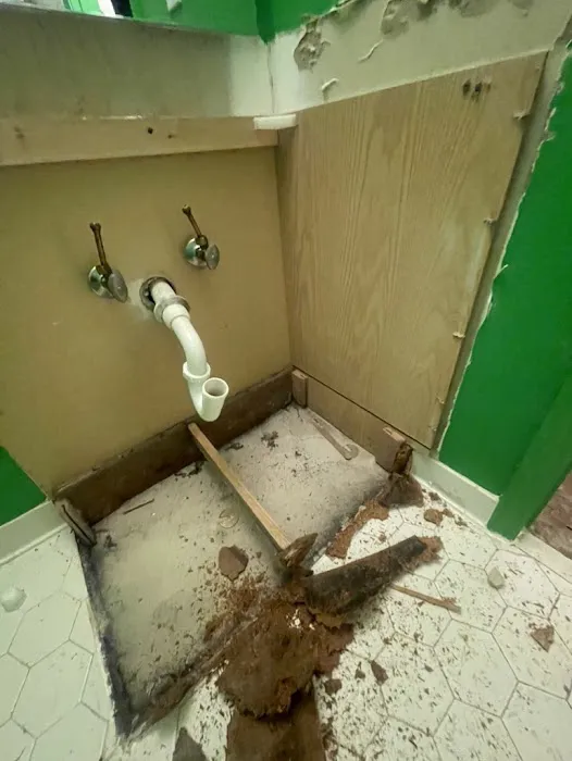 Peach Pro Water Restoration Picture 6