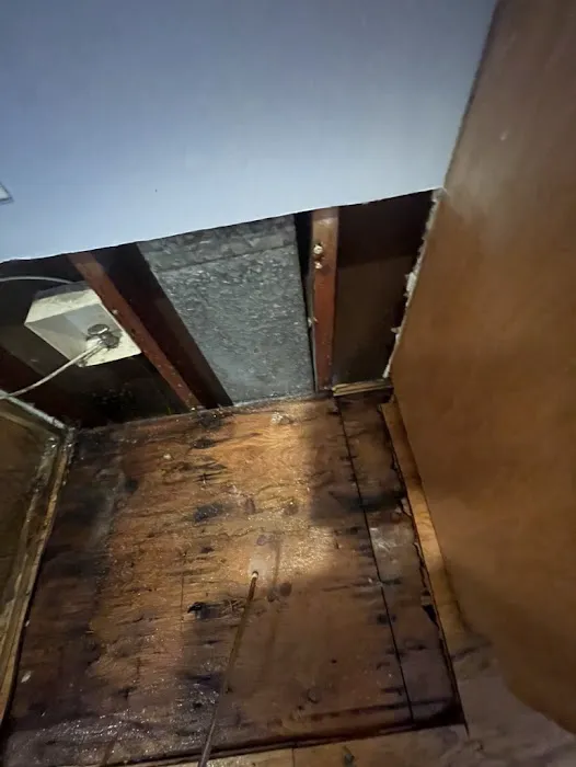 Peach Pro Water Restoration Picture 9