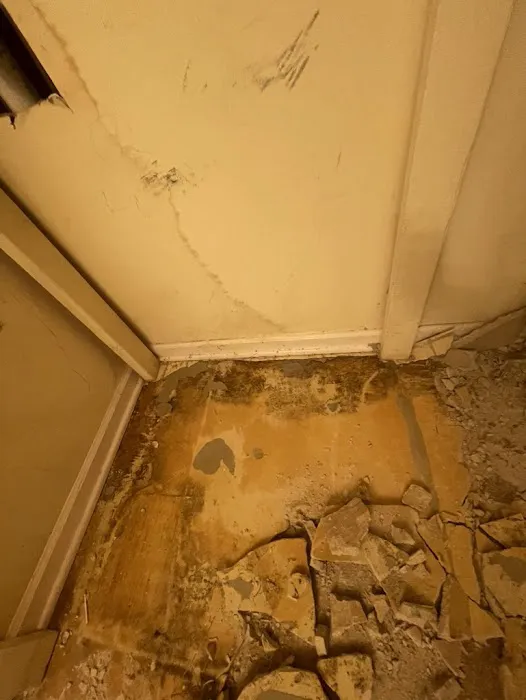 Peach Pro Water Restoration Picture 10