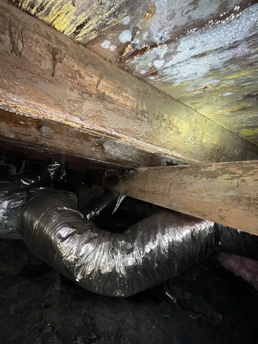 Matrix Mitigation Services Picture 9