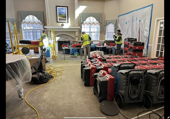 Ready Restoration Picture 6