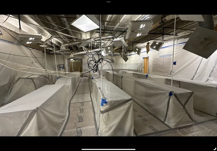 Ready Restoration Picture 5