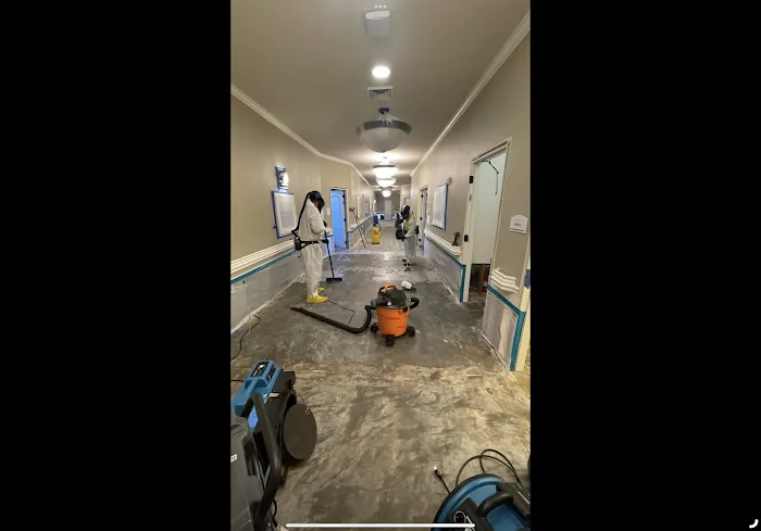 Ready Restoration Picture 4