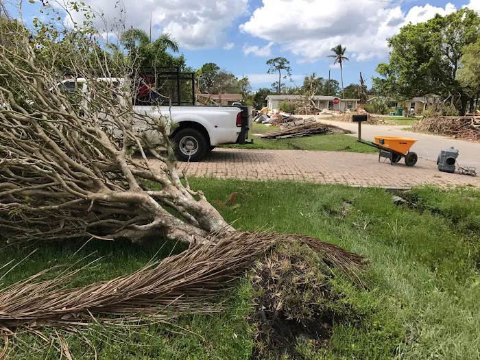 Ready Restoration Picture 7