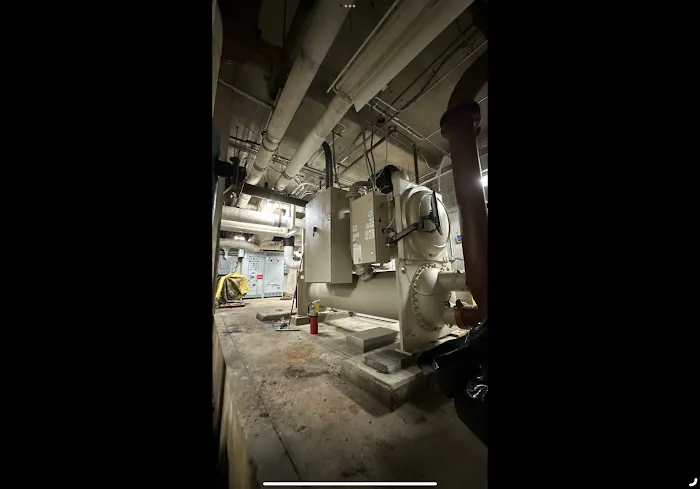 Ready Restoration Picture 9