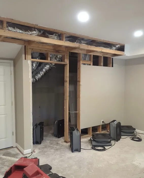 Royalty Restoration Picture 2