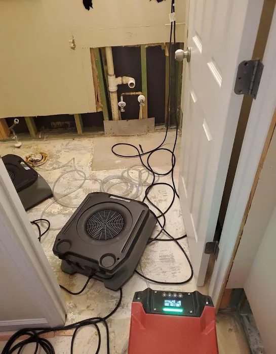 Royalty Restoration Picture 4