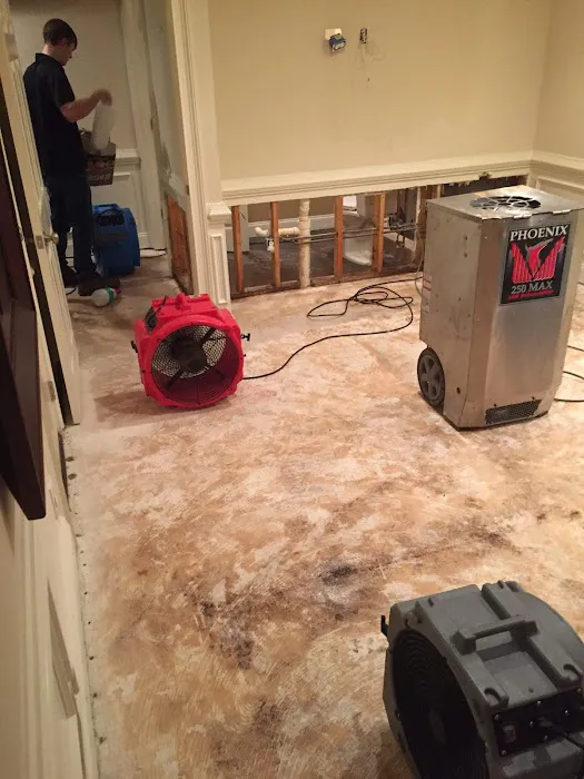 Experienced Claims Services Picture 1