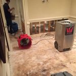 Experienced Claims Services