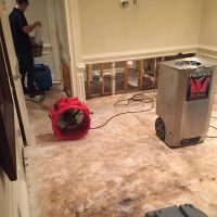 Experienced Claims Services ico