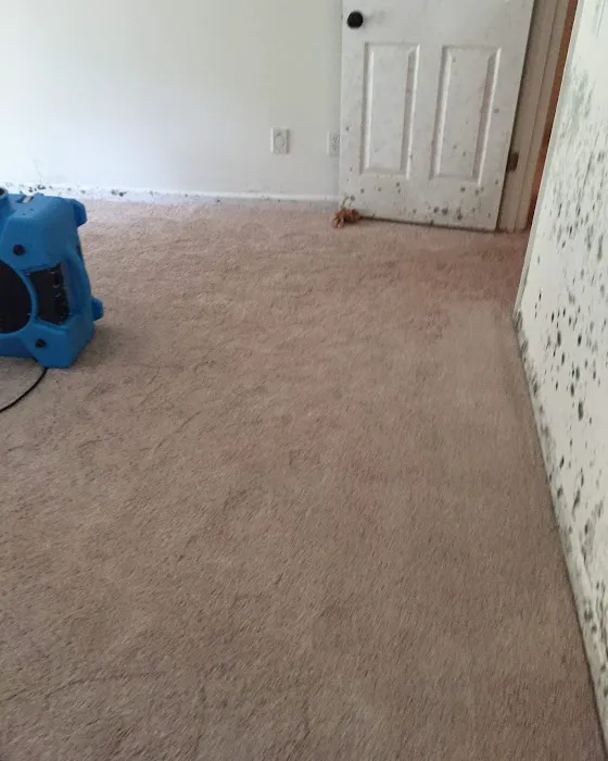 Experienced Claims Services Picture 9