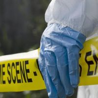 PureOne Services ico