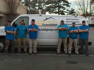 Mold B Gone Picture 1